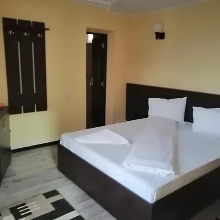Pensiunea Denisa Guest house Sacalusesti