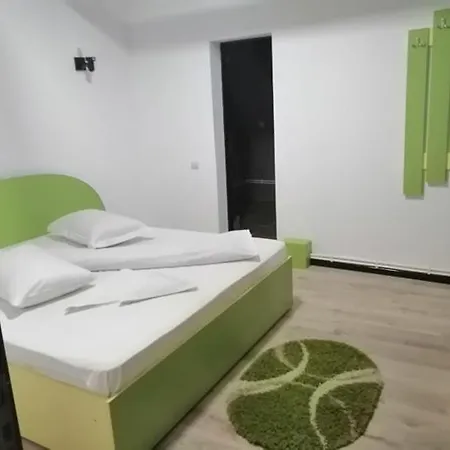Pensiunea Denisa Guest house
