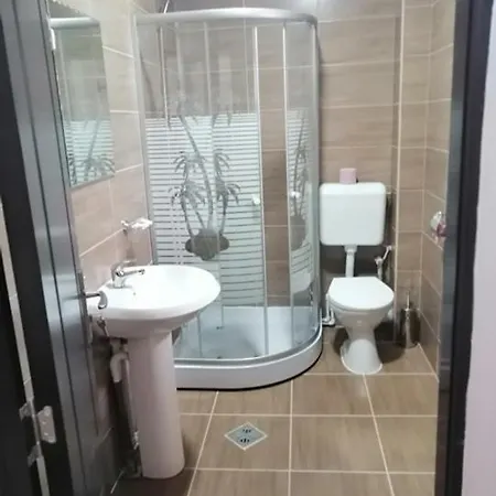 Pensiunea Denisa Guest house Sacalusesti